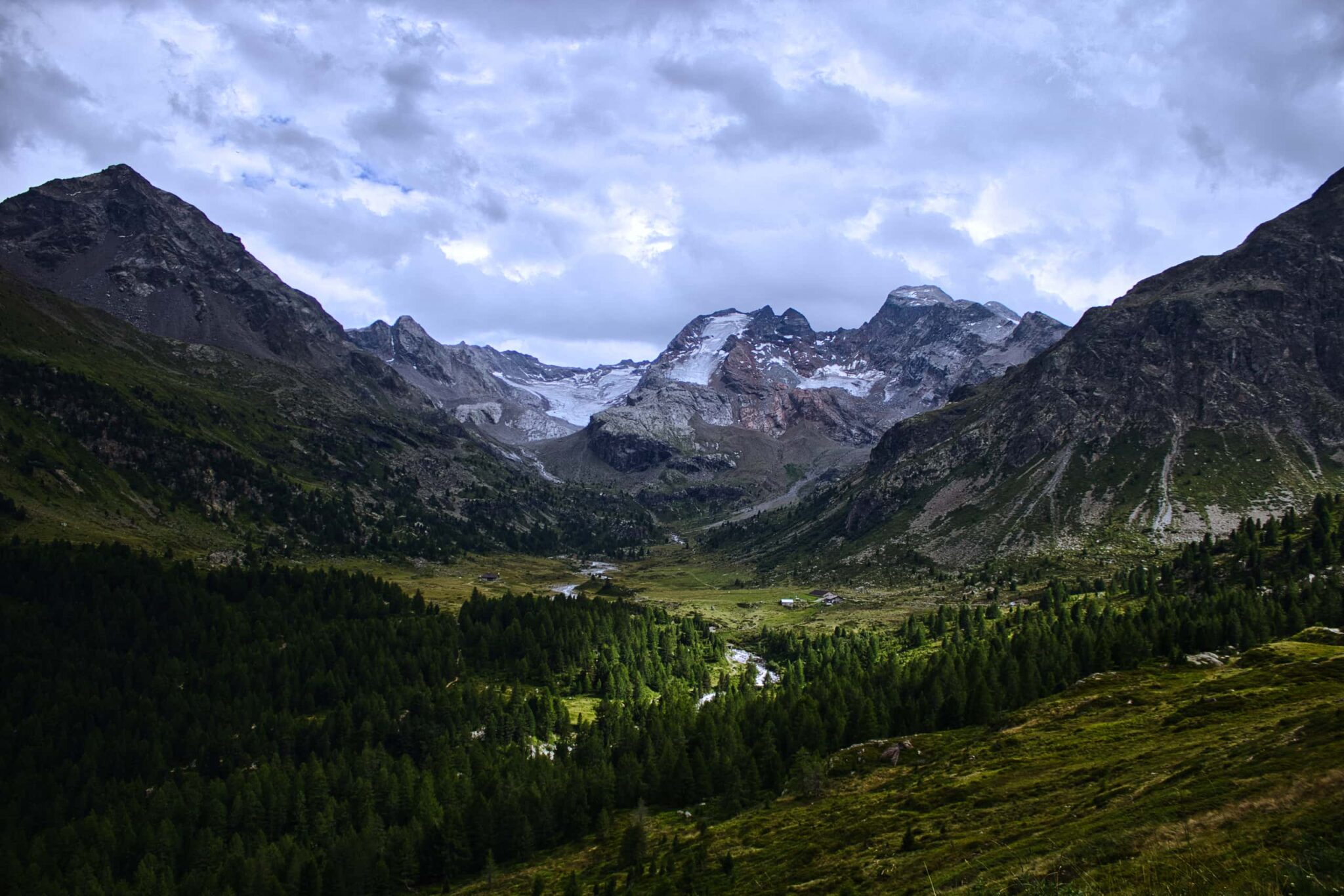 Cima Piazzi dalla Val Viola