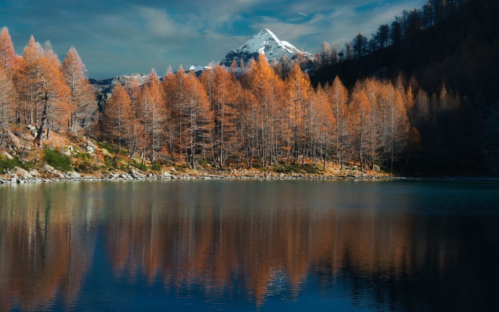Lago Lagazzuolo con larici arancioni che si riflettono sull'acqua