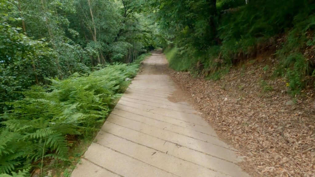 Sentiero in discesa per Chiesetta San Bernardo