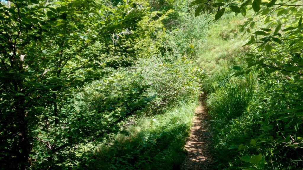 Sentiero Monte Due Mani