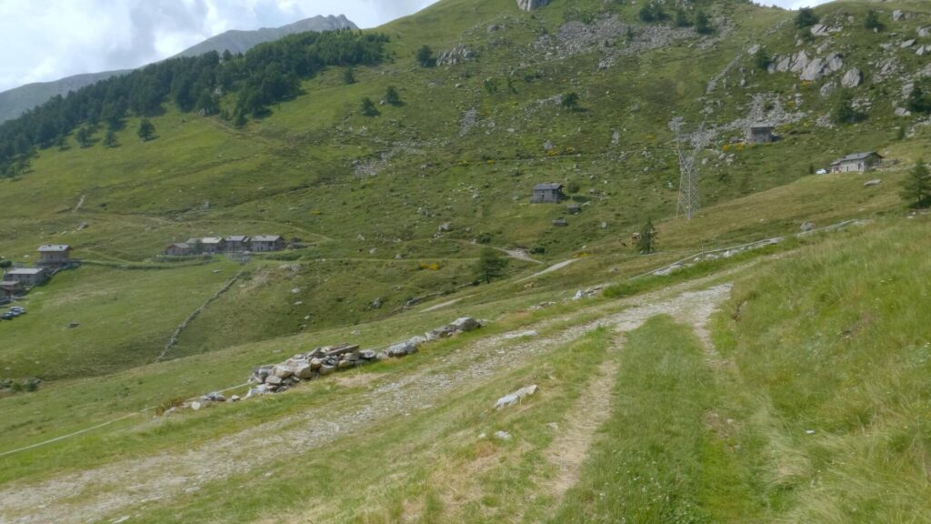 sentiero di ritorno all'Alpe Pescedo