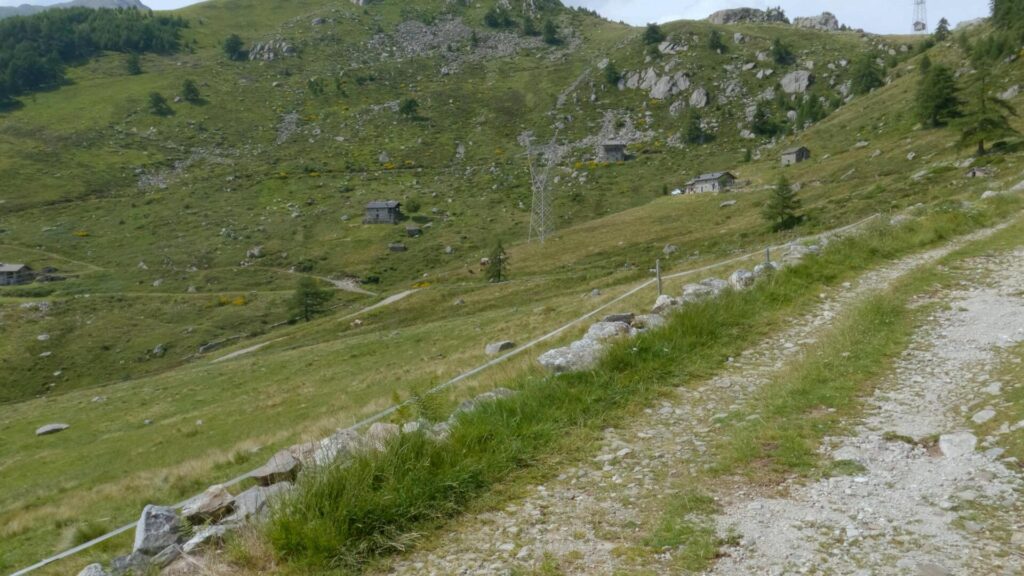 sentiero di ritorno all'Alpe Pescedo