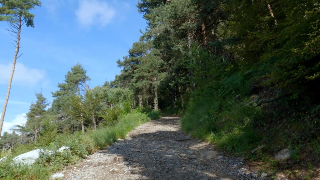 primo tratto del sentiero per Monte Berlinghera