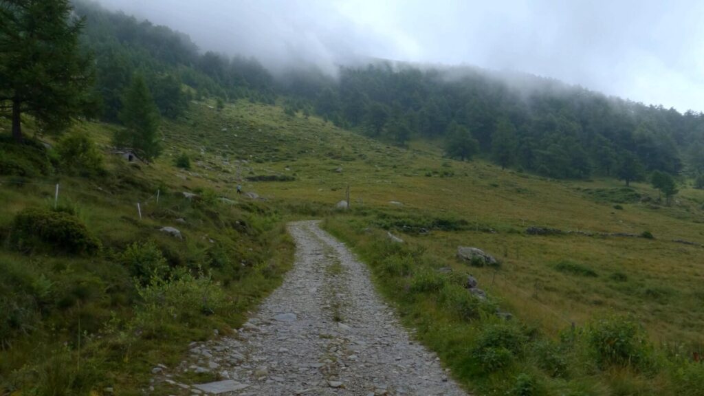 sentiero Alpe di Mezzo