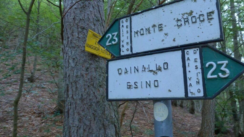 Cartelli cai nel bosco con indicazioni