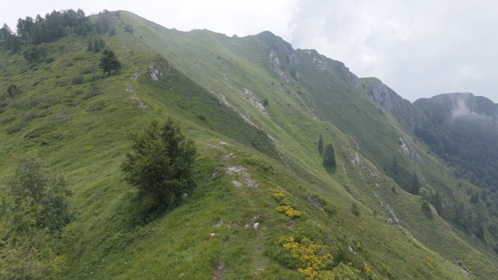 cresta per il Monte Pilastro