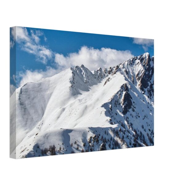 tela spessa montagne innevate