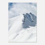 fine art cime immacolate