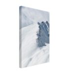 tela spessa cime immacolate