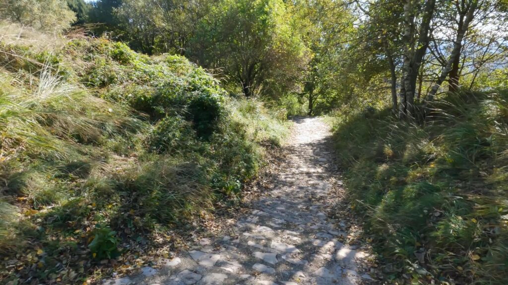 Sentiero acciottolato che porta al rifugio