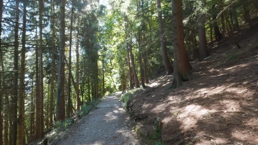 Sentiero di ritorno al parcheggio dal rifugio Capanna Mara