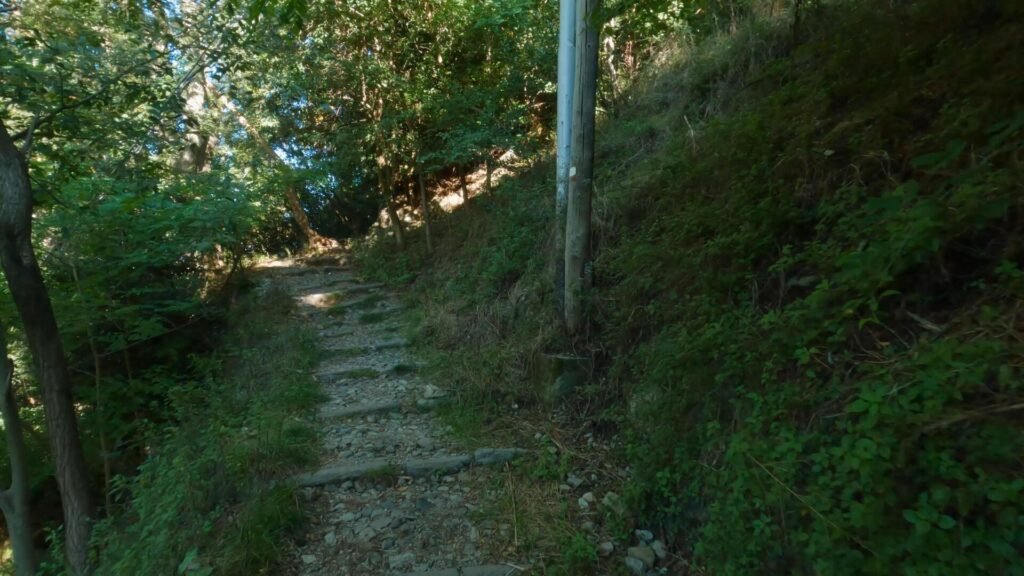 Sentiero per Brunate