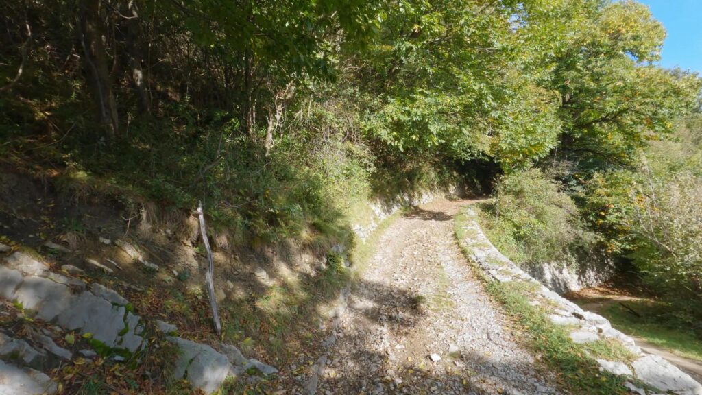 Sentiero dalla Bocchetta di Nava