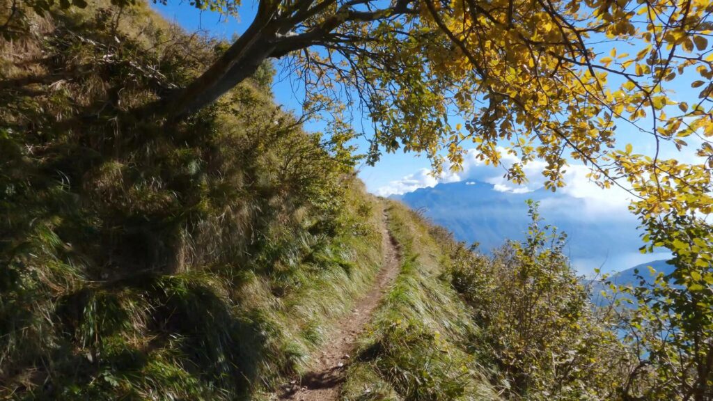 Fine sentiero boschivo