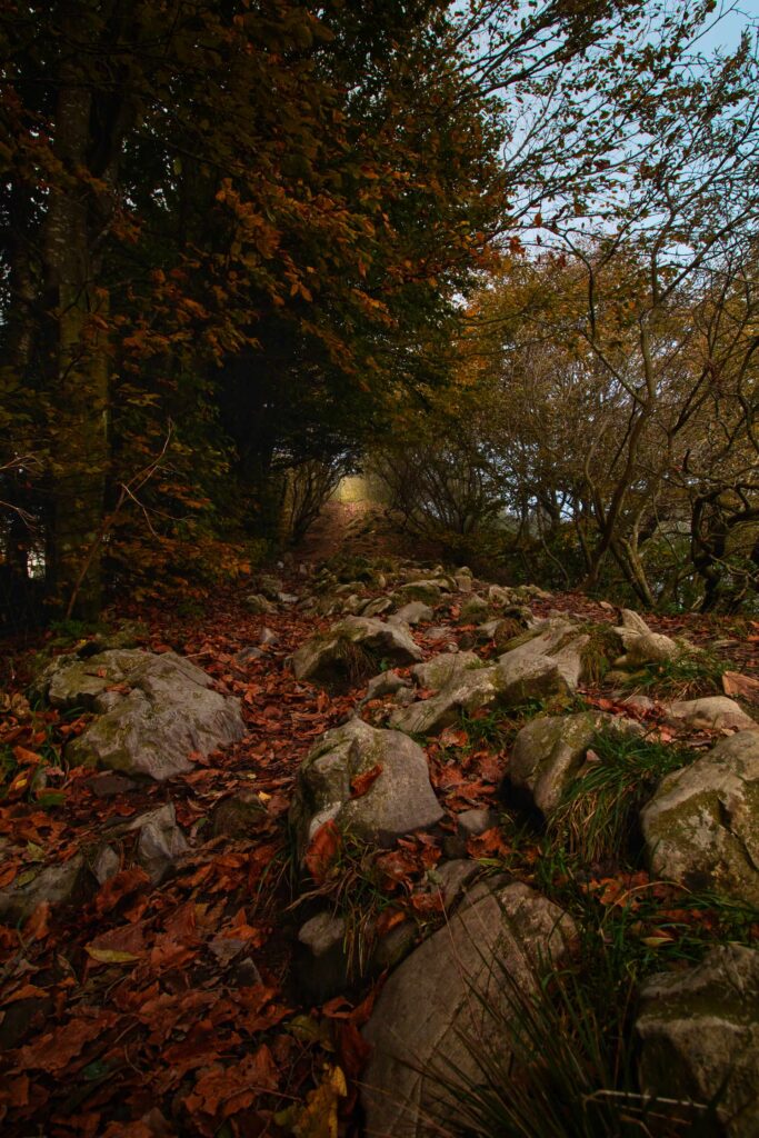 Arrivo alla Cima del Bolettone
