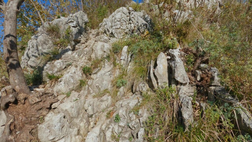 primi tratti da arrampicare