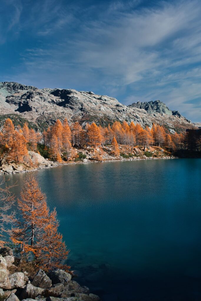 Larici riflessi nel lago Lagazzuolo_3