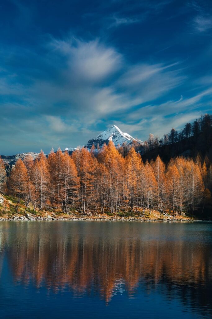 Larici riflessi nel lago Lagazzuolo_4