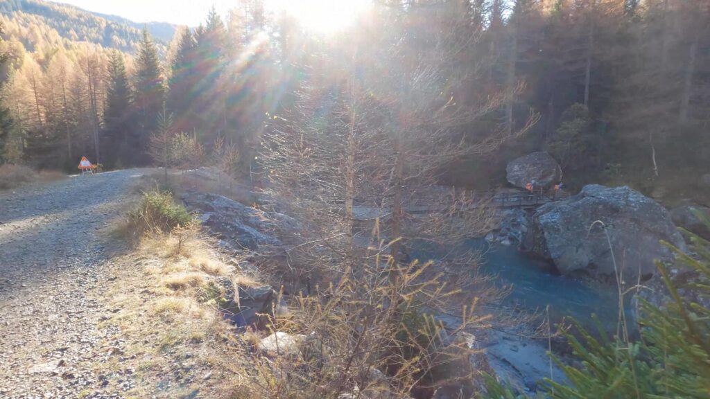 Sentiero bosco per Lago Lagazzuolo_5