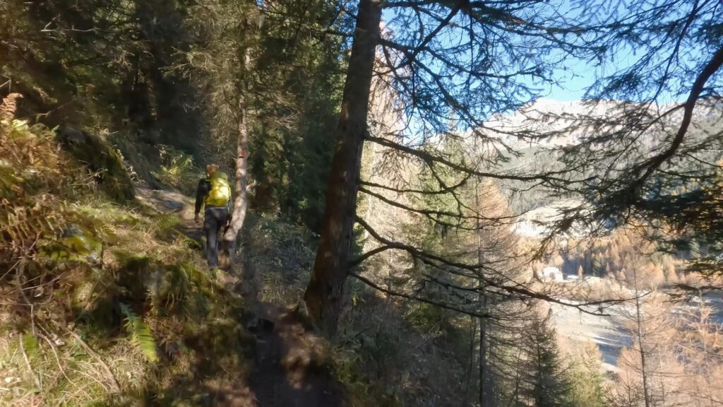 Sentiero bosco per Lago Lagazzuolo