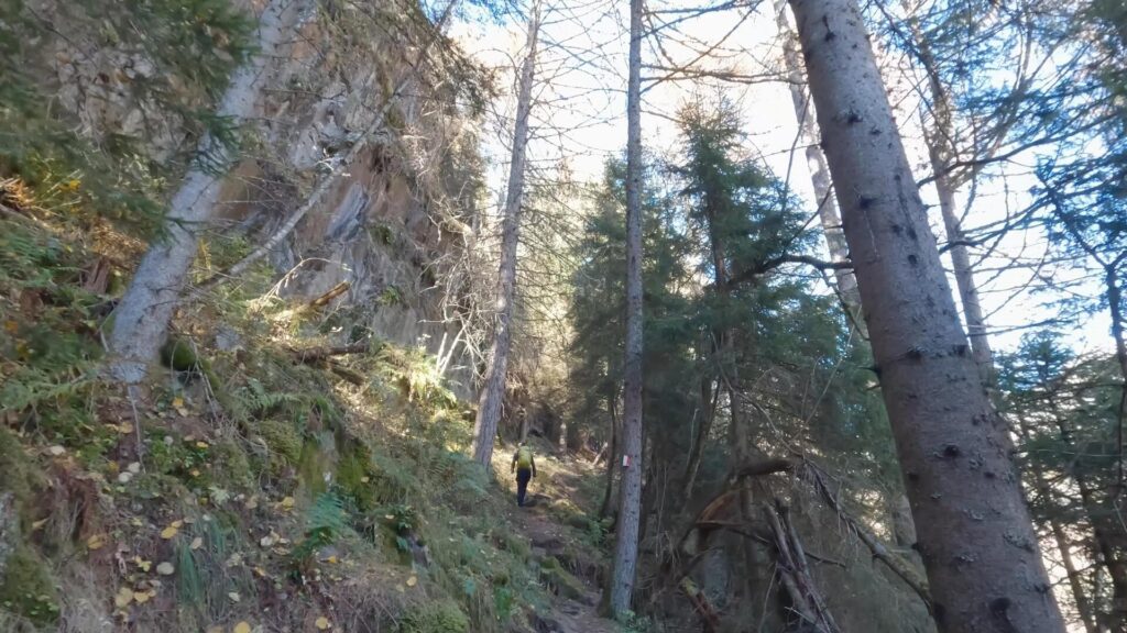 Sentiero bosco per Lago Lagazzuolo_2