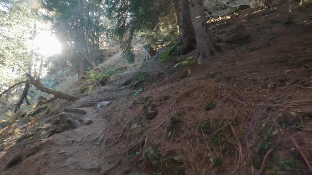 Sentiero bosco per Lago Lagazzuolo_3