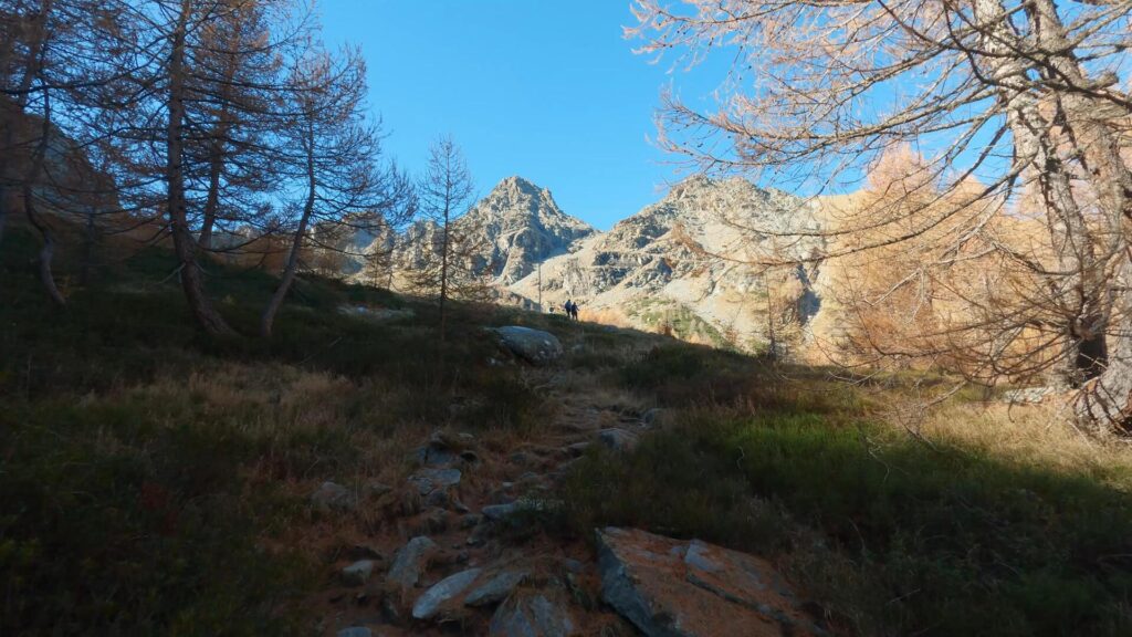 Uscita dal bosco per Lago Lagazzuolo