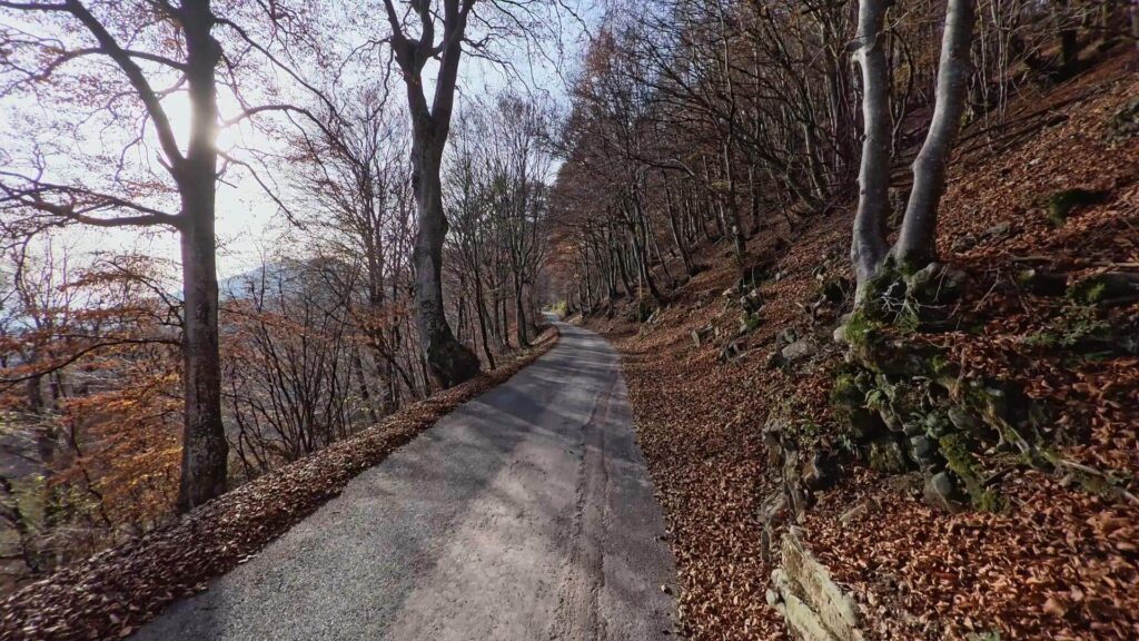 Strada che dal parcheggio porta alla Baita di Orimento
