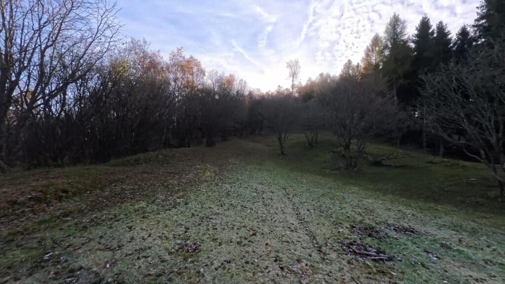 Inizio salita bosco Monte Generoso