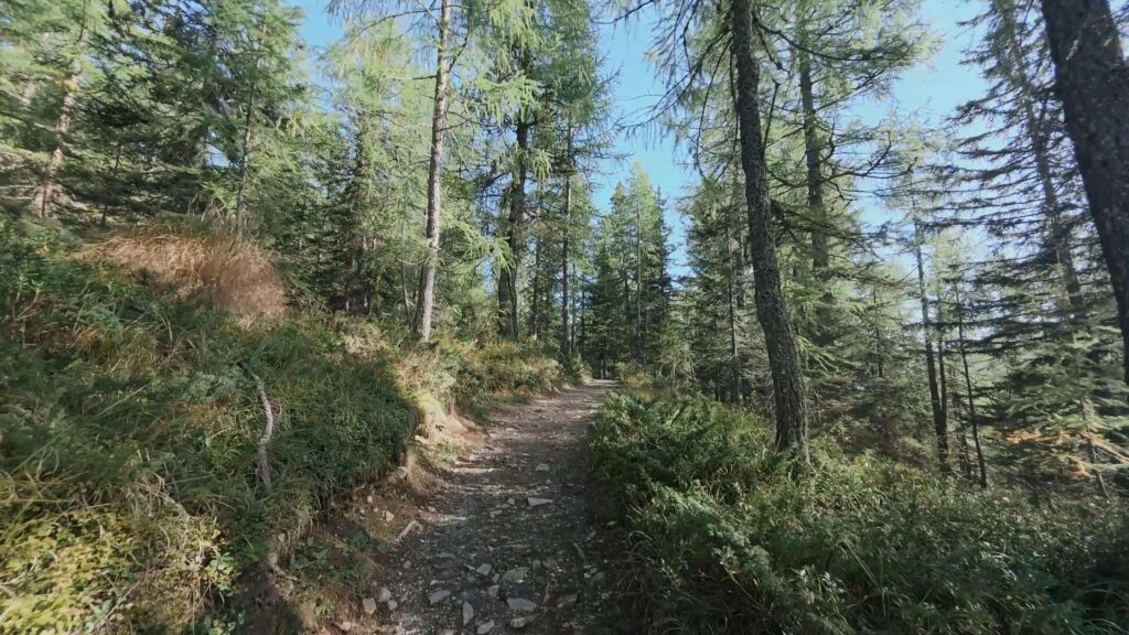 Sentiero ritorno a Campo Moro