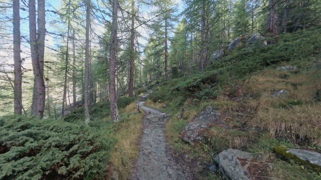 Sentiero per Rifugio Carate