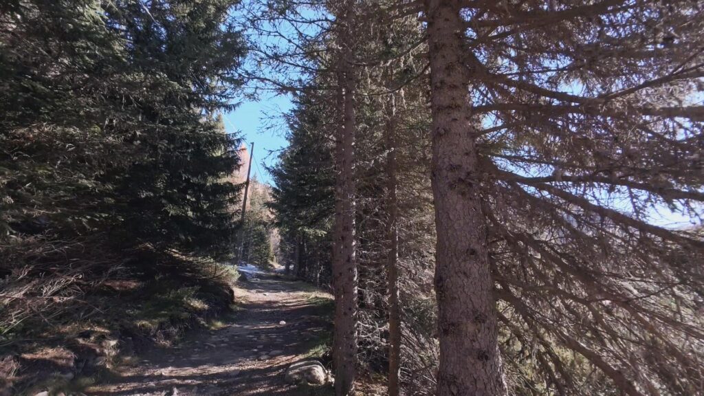 Sentiero Rifugio Palù