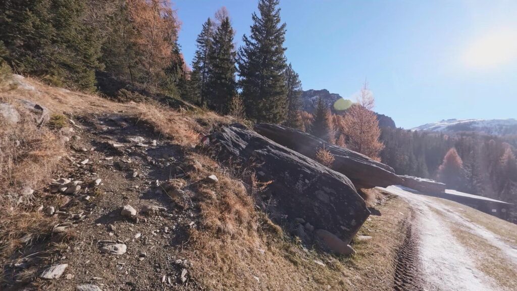 Sentiero alle spalle del Rifugio Palù