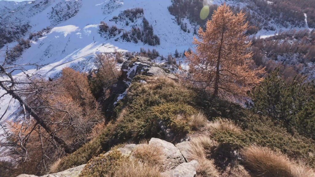 Cresta discesa Monte Roggione_5