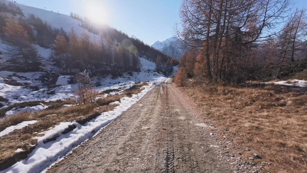 Sentiero di ritorno al Lago Palù