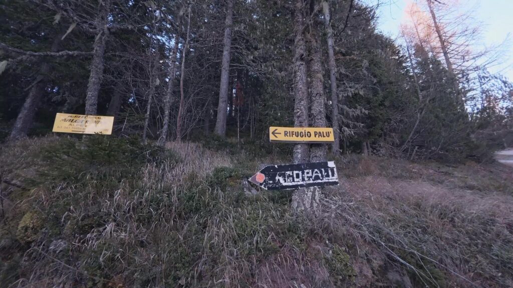 Indicazioni Lago Palù