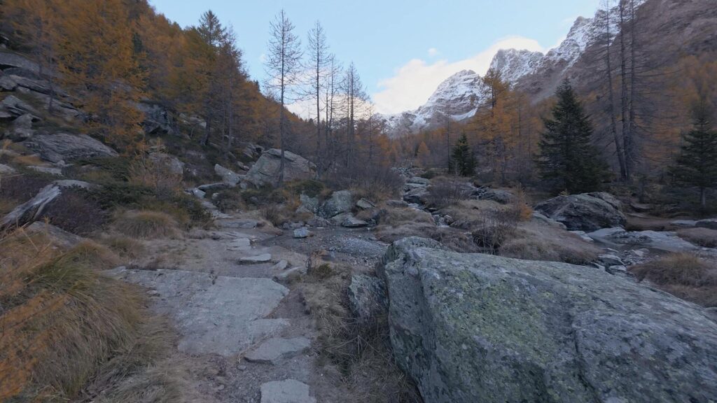 Salita nel bosco alla seconda piana di Predarossa