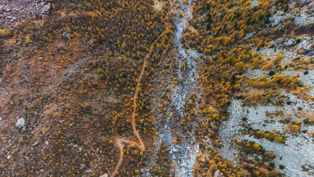 Bosco tra le due piane a Predarossa