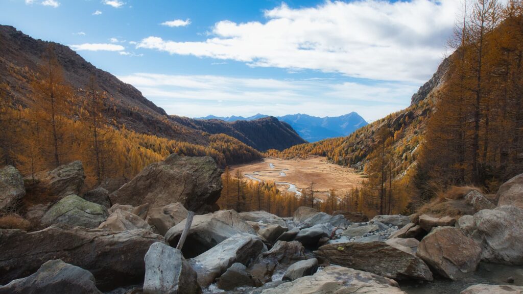 Larici e Prima Piana a Predarossa