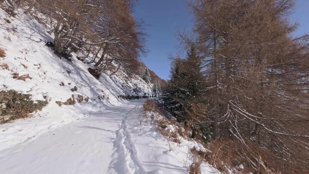 Sentiero per Rifugio Venini_3