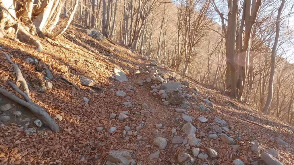Sentiero per Rifugio Brioschi