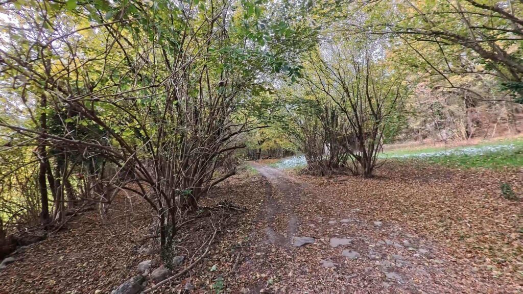 Sentiero di ritorno dal Monte Magnodeno