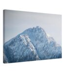 Tela spessa Grignetta