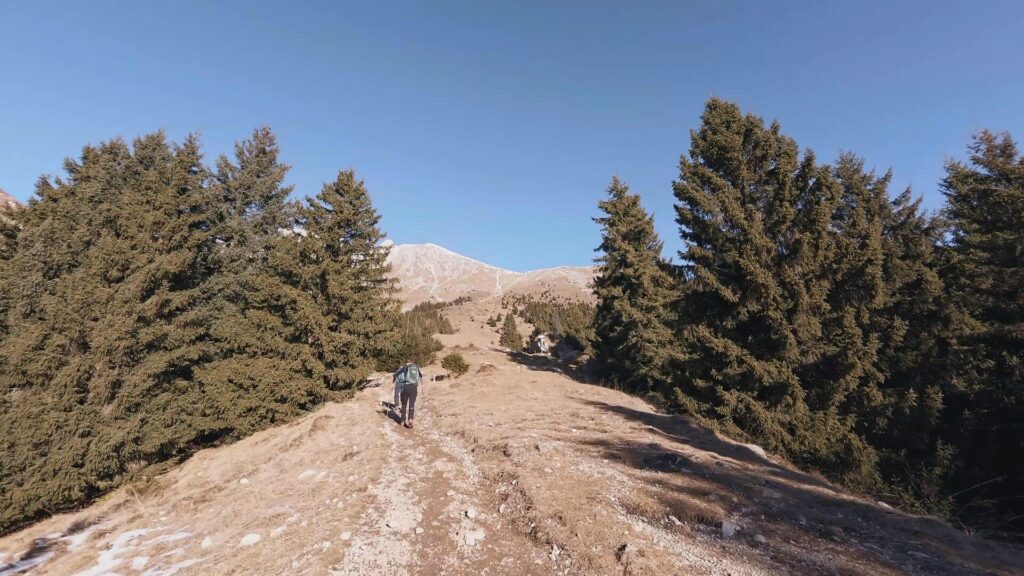 Sentiero per Cassinelli