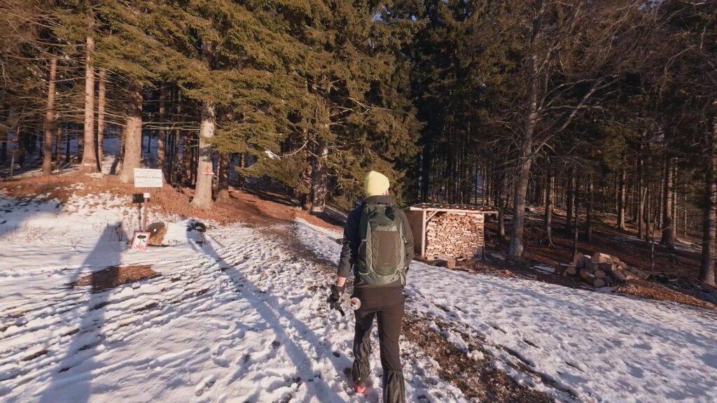 Sentiero 7 alle spalle del Rifugio Porta