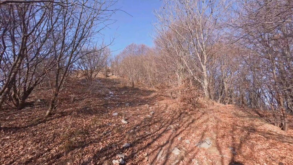 sentiero Monte Tesoro