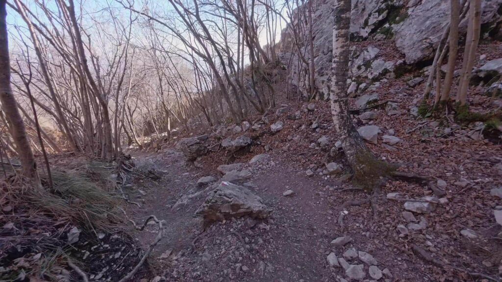 Sentiero di ritorno dal Monte Linzone