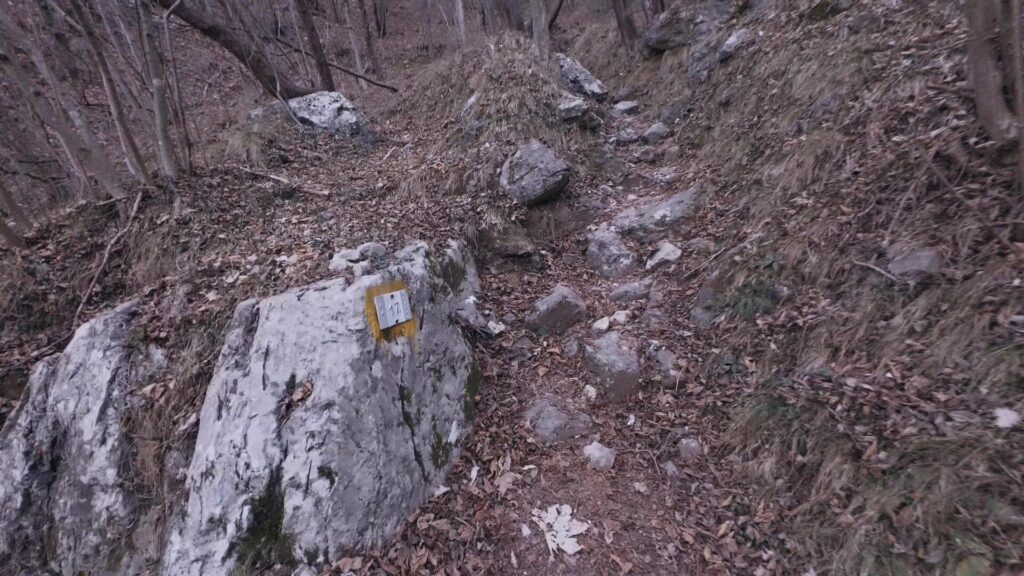 Sentiero 17A Zucco di Sileggio