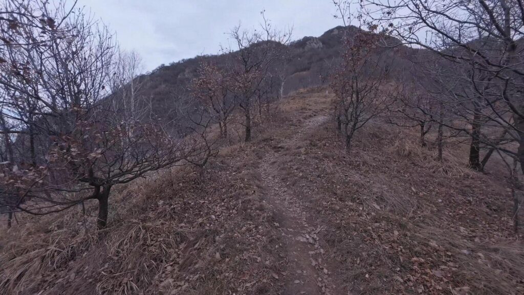 Sentiero 17A Zucco di Sileggio