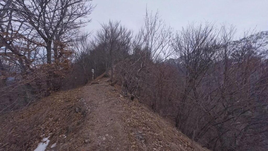 Sentiero di ritorno verso il Santuario di Santa Maria sopra Olcio